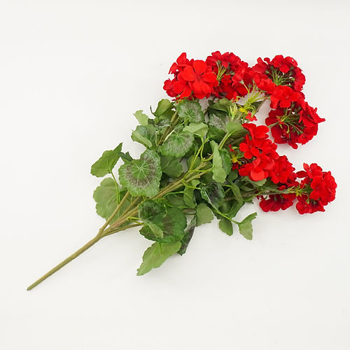 Geranium Bush 24" Red