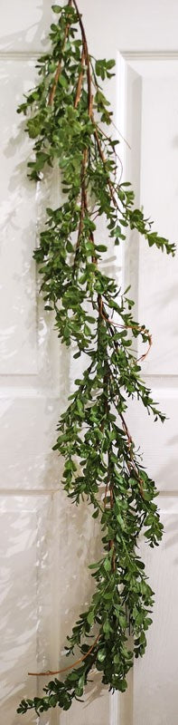 Boxwood Garland 5'