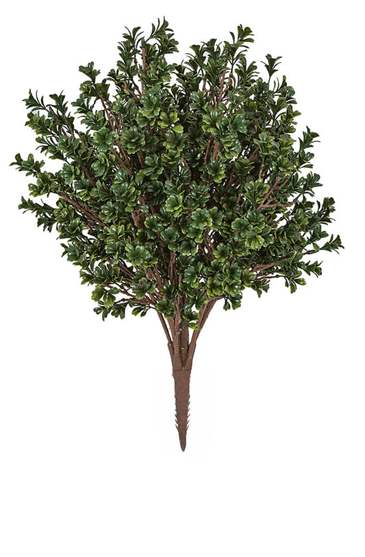 26" UV Large Boxwood Bush