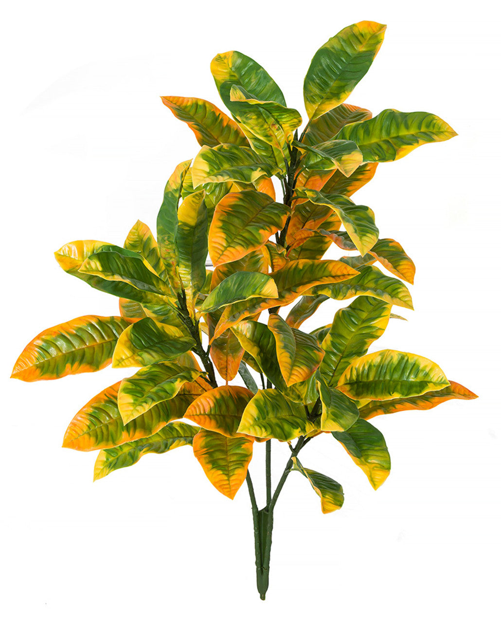 34" Croton Bush (Yellow) UV